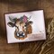 Spellbinders BetterPress Plate & Die Set by Justine Dvorak-Clover